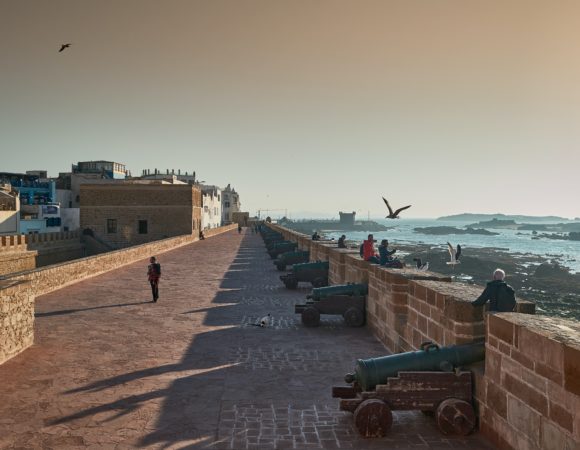 Excursion d'une journée à Essaouira